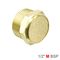 AIRCRAFT Muffler Brass Flat 1/2' Male